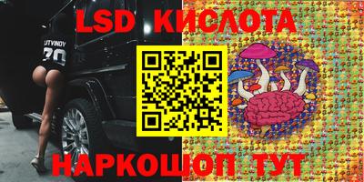 mdpv Будённовск