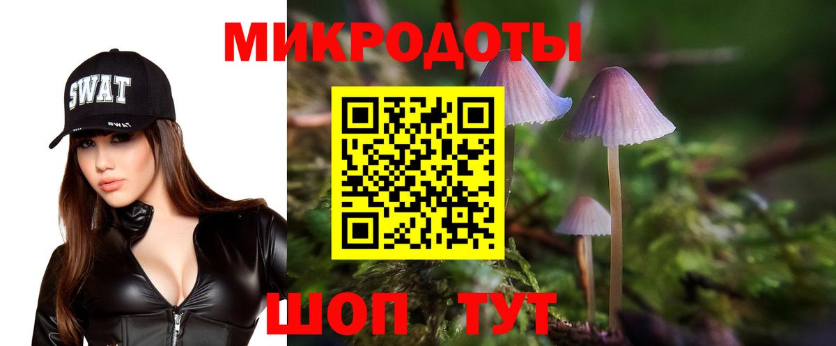 Галлюциногенные грибы Psilocybe Ростов-на-Дону